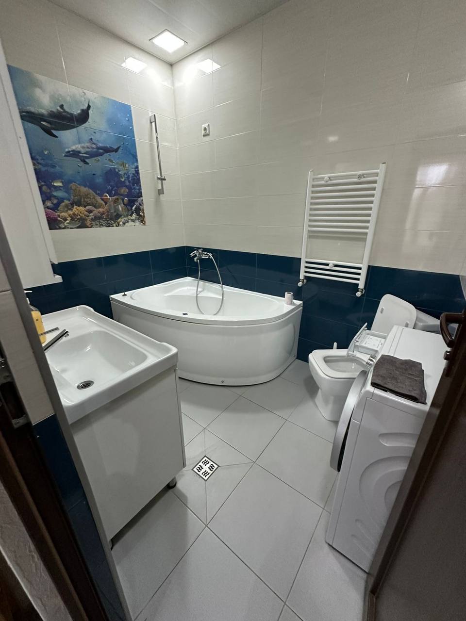 Apartment, 115 m² — St. Pirosmani, 18a