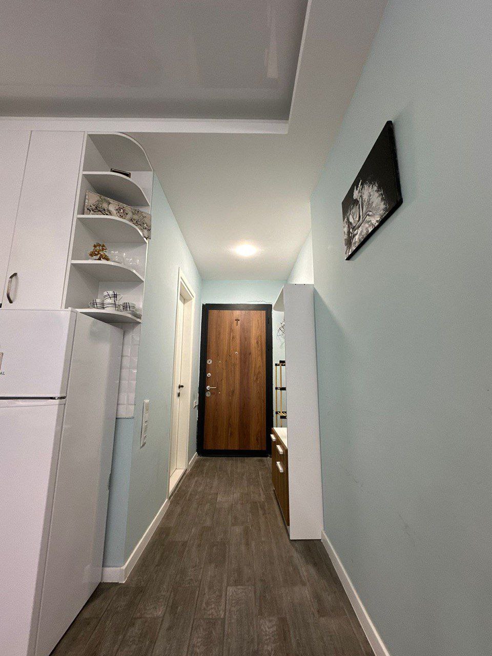 Studio, 55 m² — Pirosmani 17