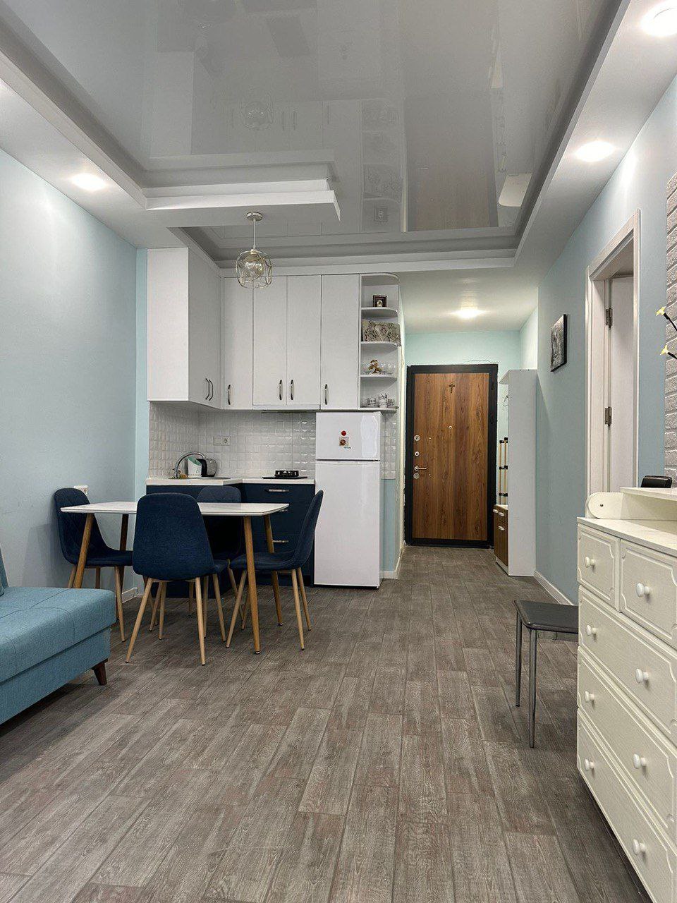 Studio, 55 m² — Pirosmani 17