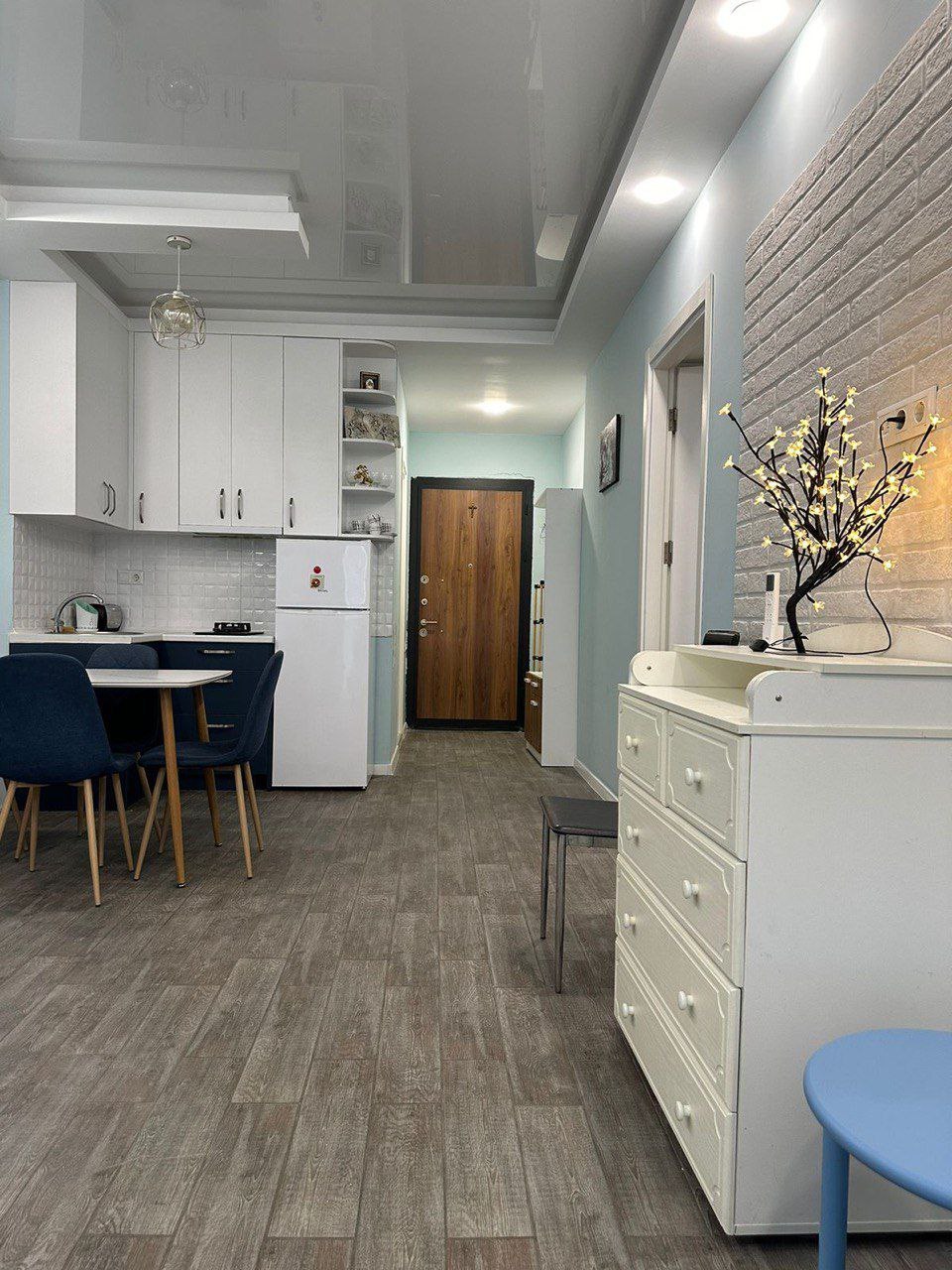 Studio, 55 m² — Pirosmani 17