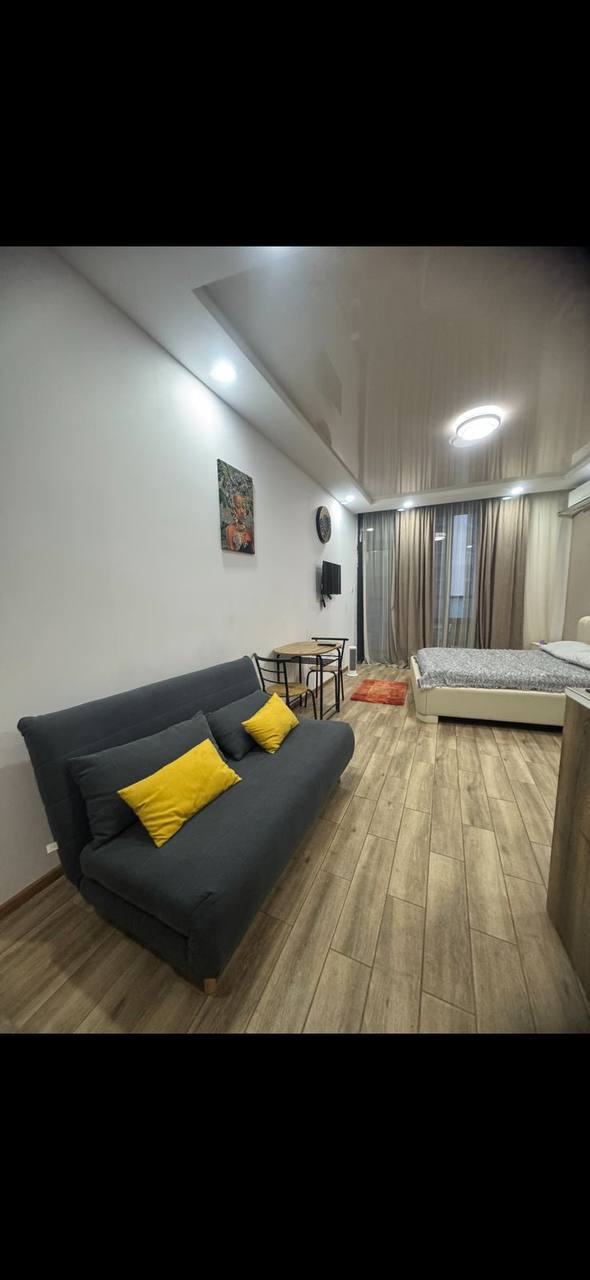 Apartment, 32 m² — Pirosmani 17