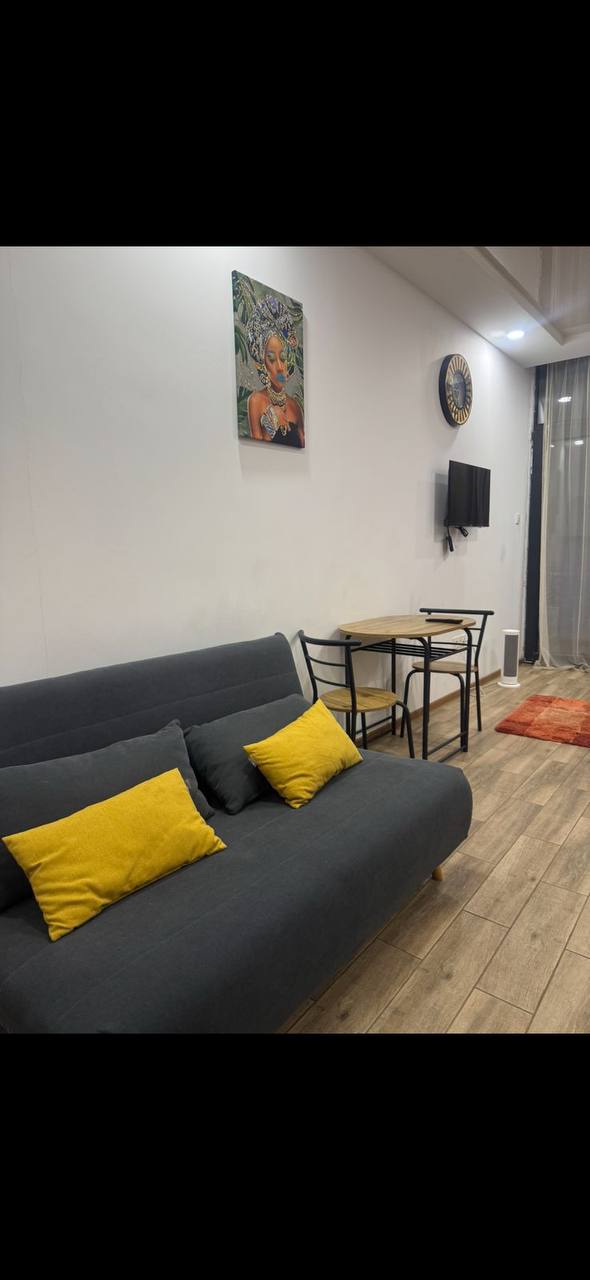 Apartment, 32 m² — Pirosmani 17