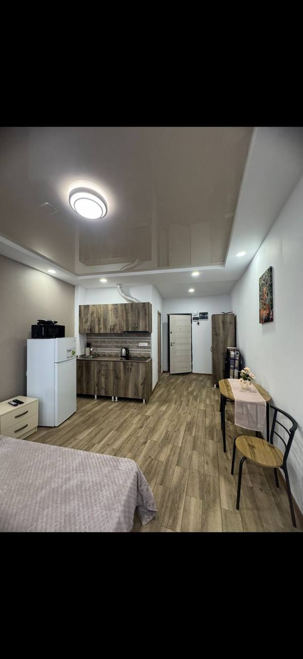 Apartment, 32 m² — Pirosmani 17