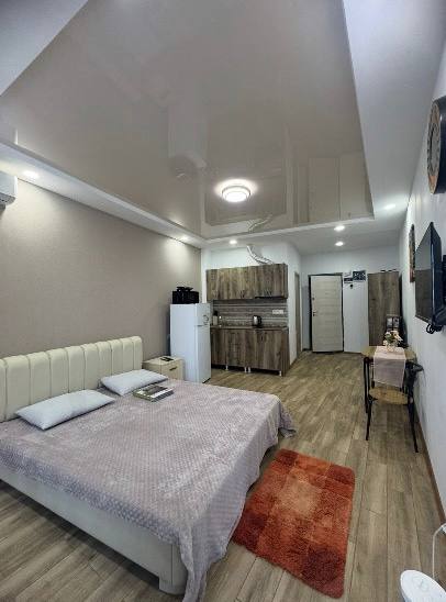 Studio, 35 m² — St. Pirosmani, 19