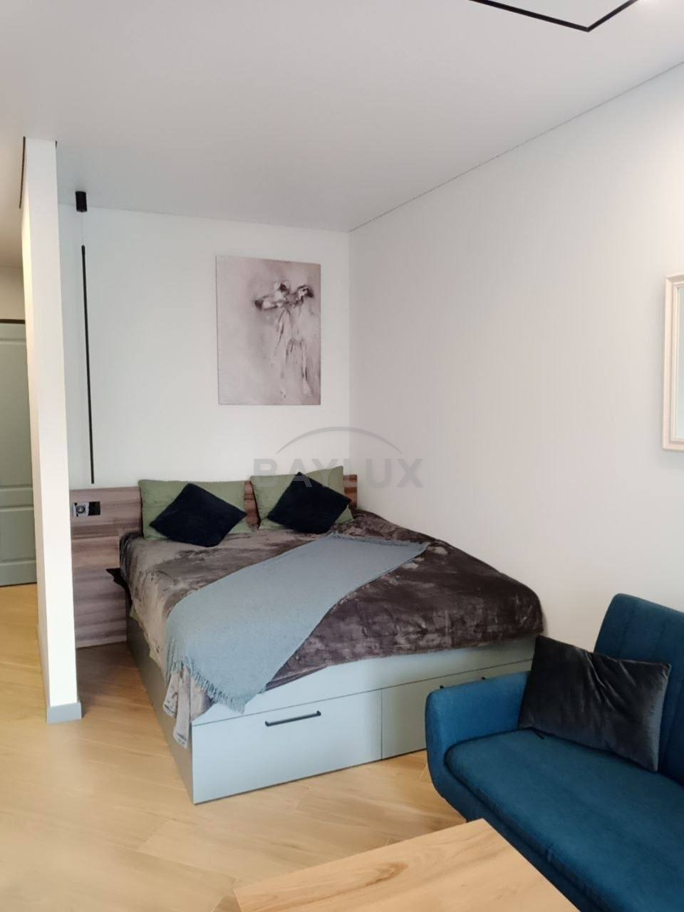 Studio, 40 m² — Pirosmani 17
