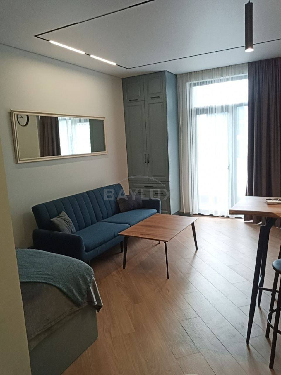 Studio, 40 m² — Pirosmani 17