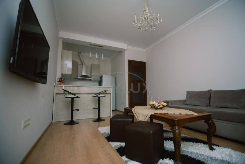 Apartment, 50 m² — Pirosmani29