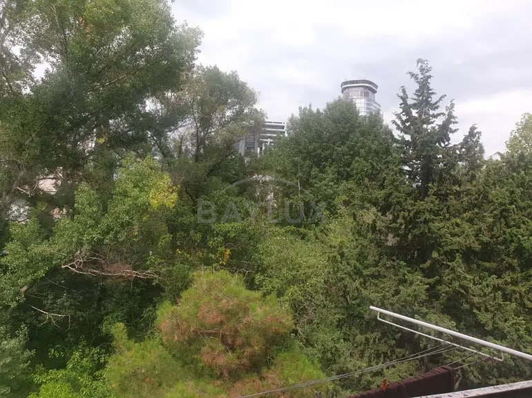 Ул. З. Бенделиани 5 — фото 9